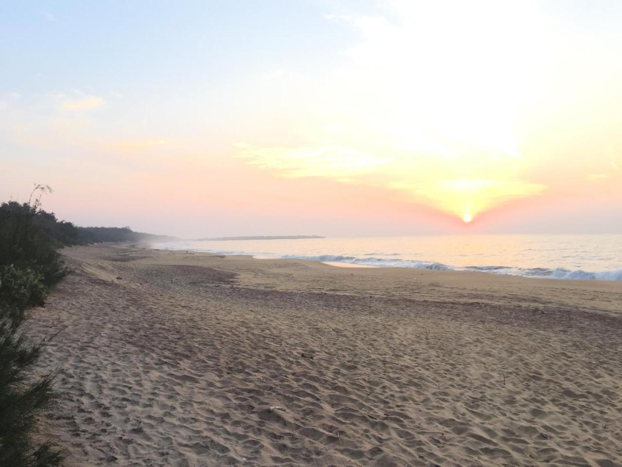 המבנטוטה The Oasis Beach Resort מראה חיצוני תמונה